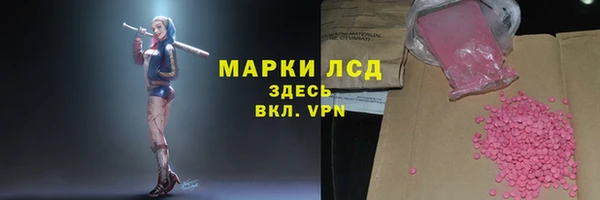 СК Аркадак