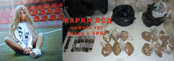 мяу мяу мука Арсеньев