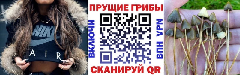 мориарти Telegram  гидра ссылка  Тейково  Псилоцибиновые грибы GOLDEN TEACHER 